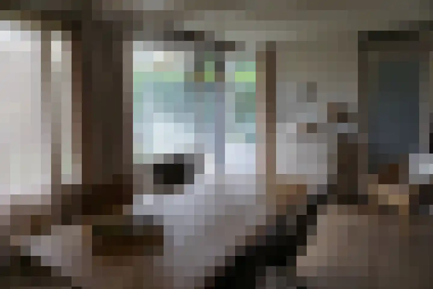 De Keizerskroon 270 Julianadorp thumbnail 10