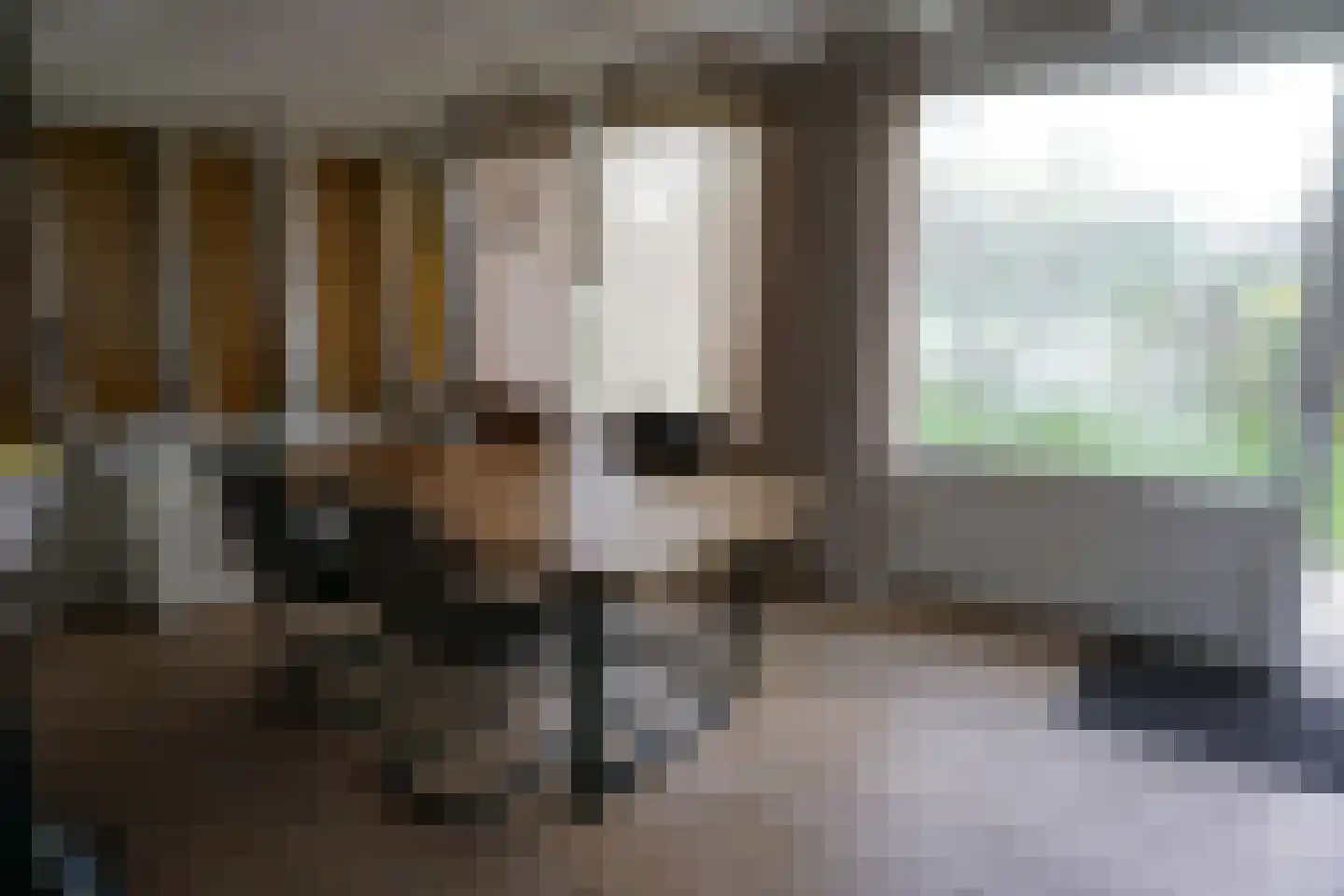 De Keizerskroon 270 Julianadorp thumbnail 11