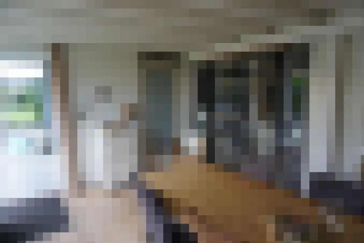 De Keizerskroon 270 Julianadorp thumbnail 12