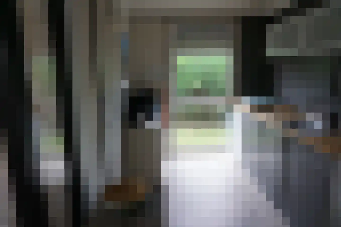 De Keizerskroon 270 Julianadorp thumbnail 13