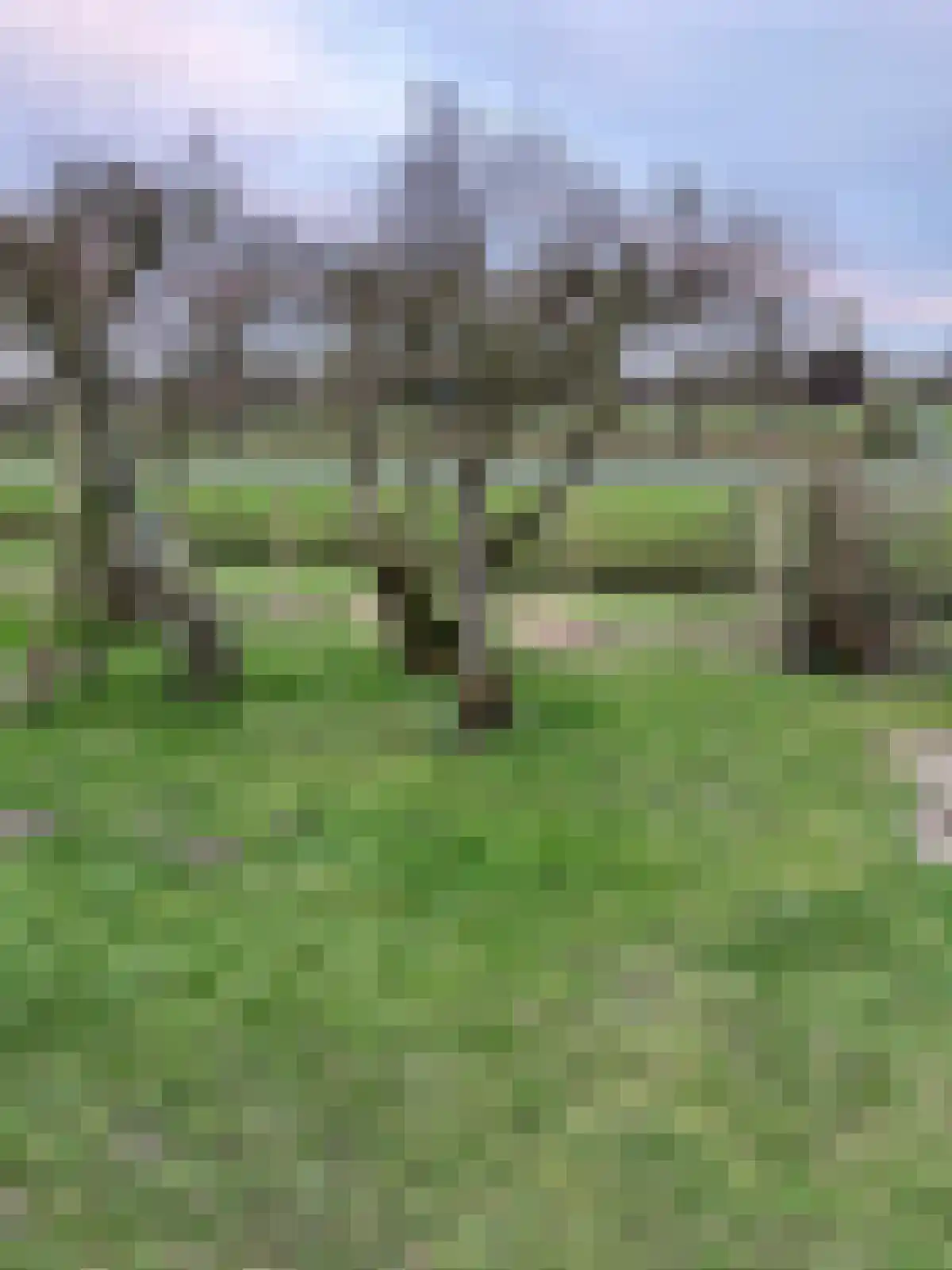 De Keizerskroon 270 Julianadorp thumbnail 22