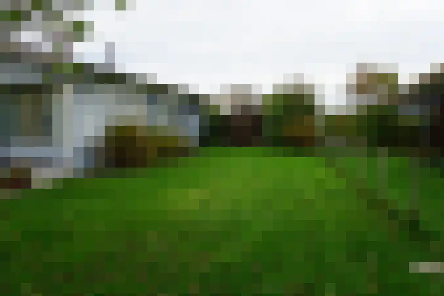 De Keizerskroon 270 Julianadorp thumbnail 26