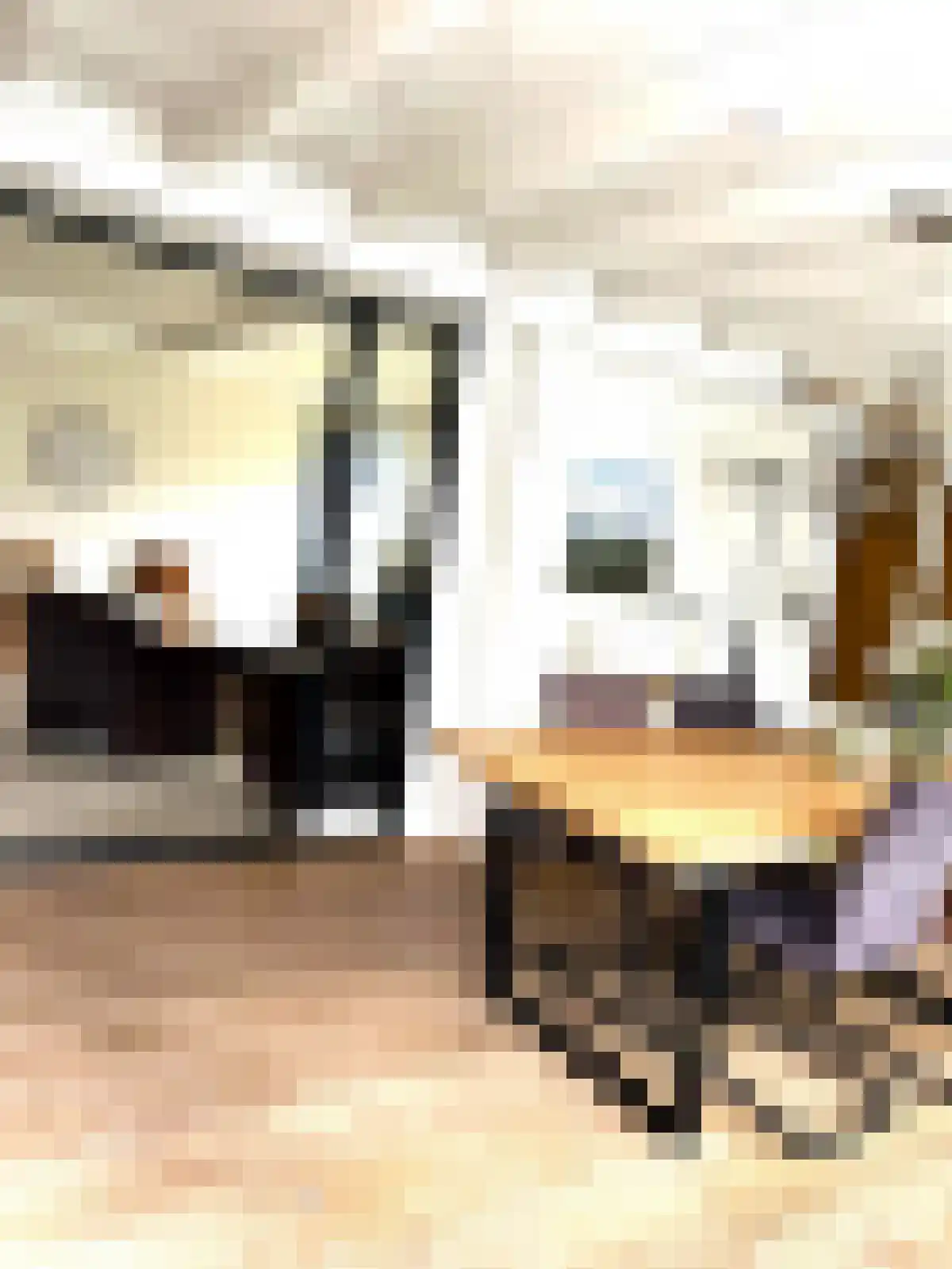 De Keizerskroon 270 Julianadorp thumbnail 5