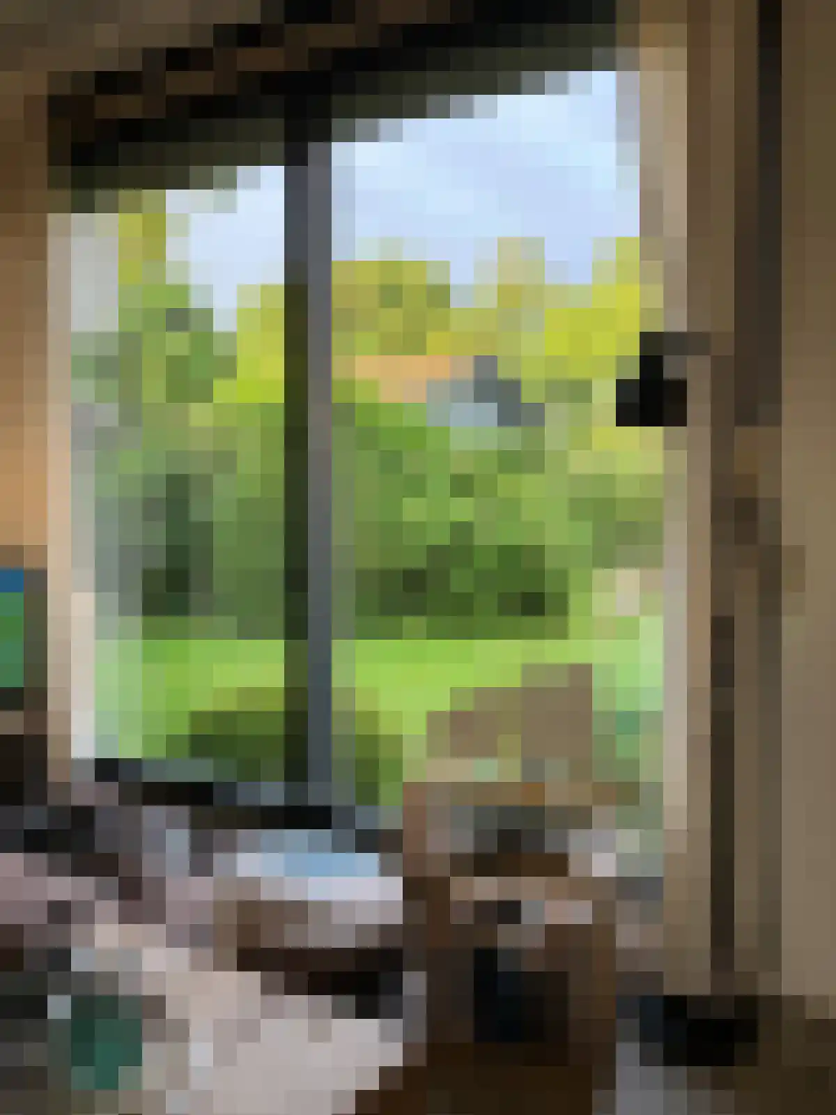 De Keizerskroon 270 Julianadorp thumbnail 7