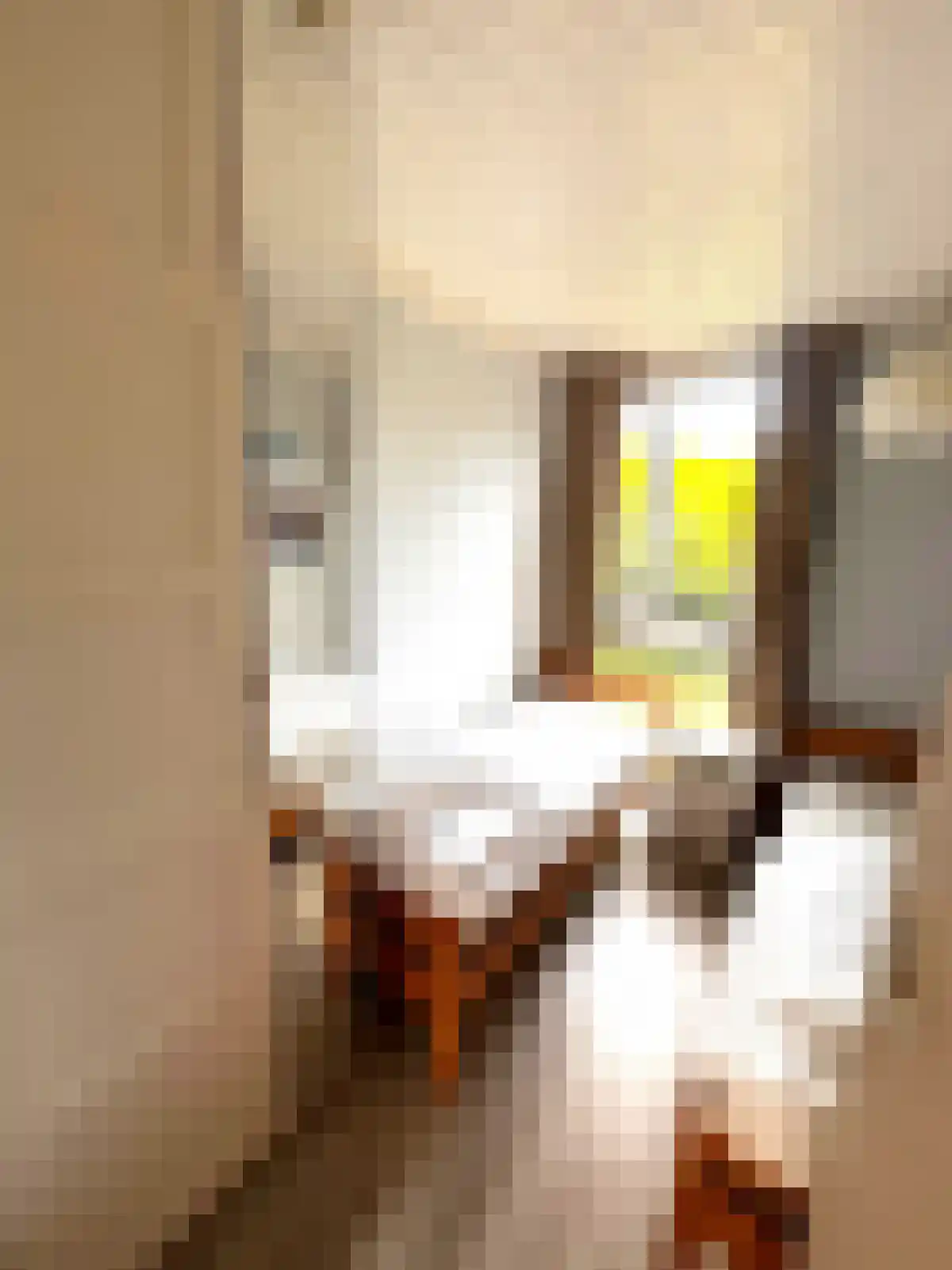 De Keizerskroon 270 Julianadorp thumbnail 9
