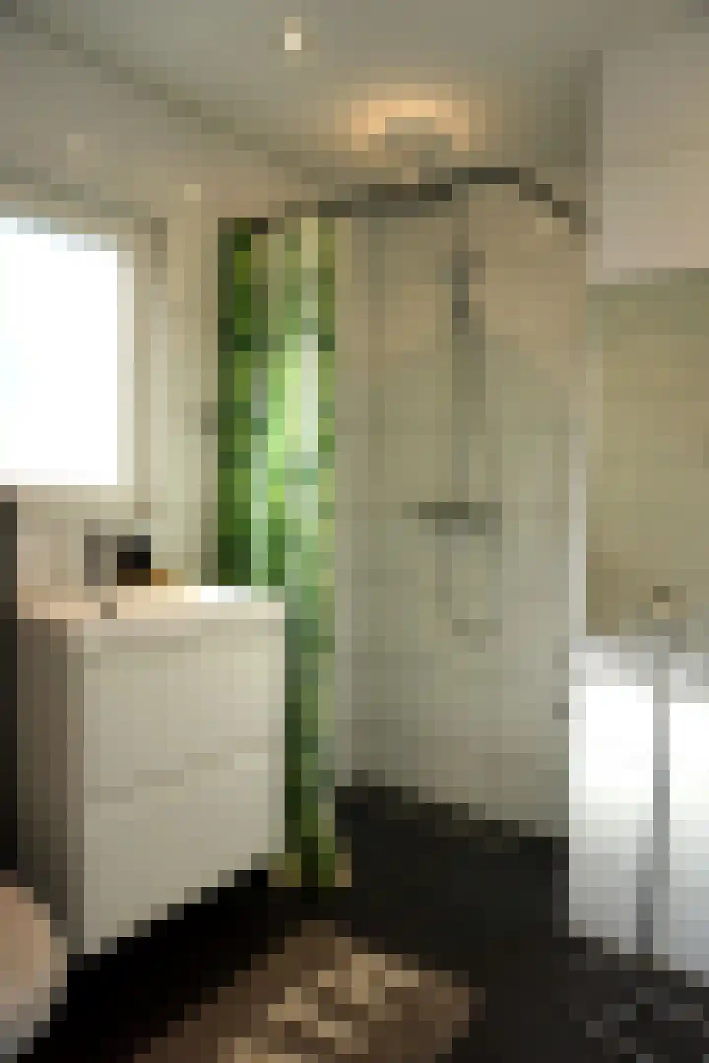 De Keizerskroon 304 Julianadorp thumbnail 15