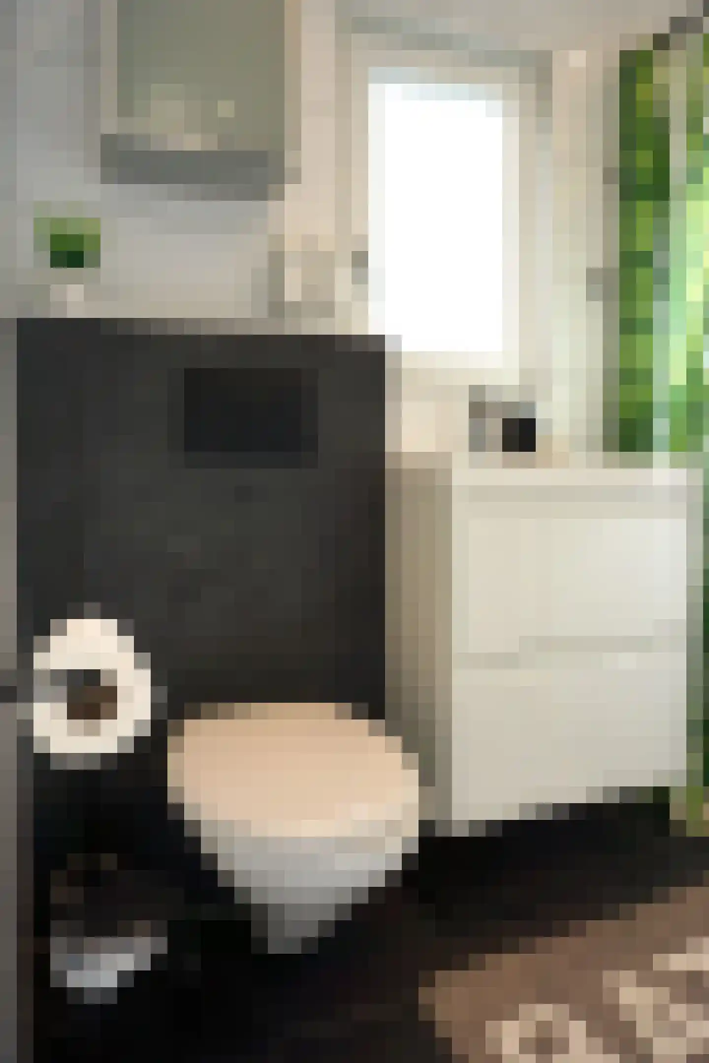De Keizerskroon 304 Julianadorp thumbnail 16