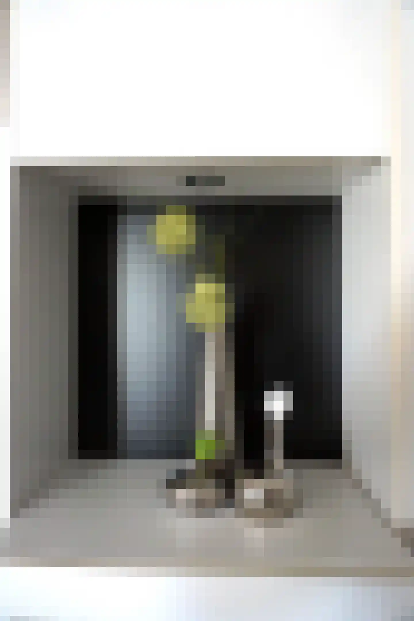 De Keizerskroon 304 Julianadorp thumbnail 5