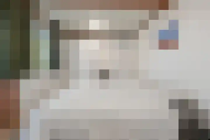 De Keizerskroon 306 Julianadorp thumbnail 10