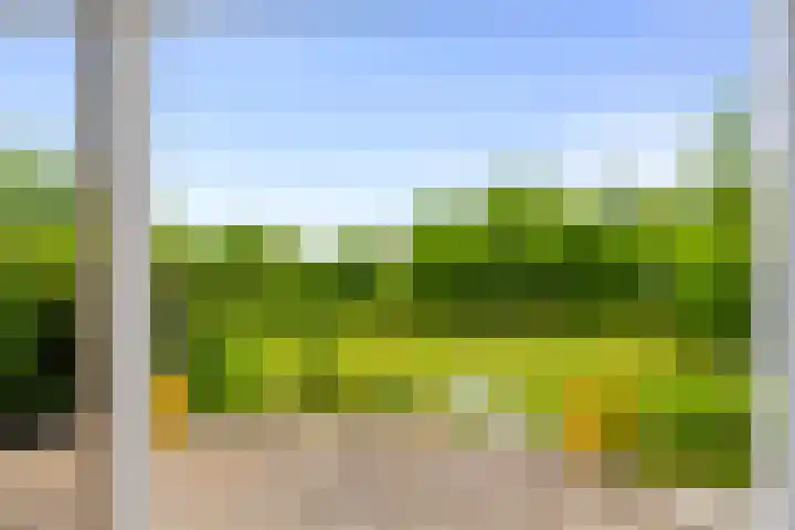 De Keizerskroon 306 Julianadorp thumbnail 14