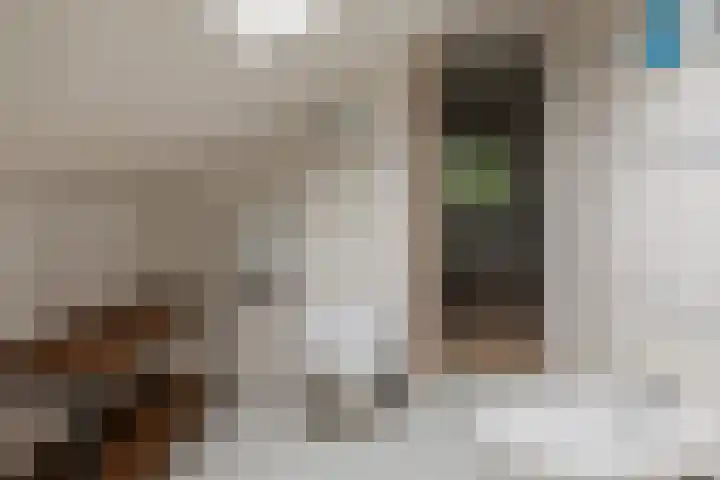 De Keizerskroon 306 Julianadorp thumbnail 16
