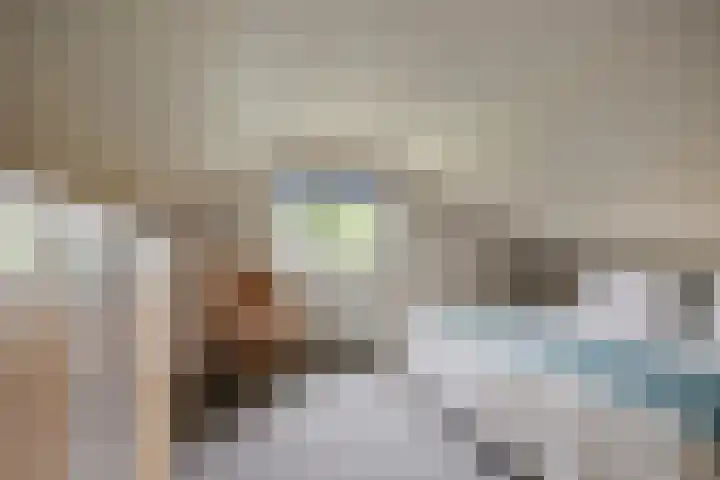 De Keizerskroon 306 Julianadorp thumbnail 17