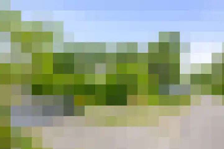 De Keizerskroon 306 Julianadorp thumbnail 19
