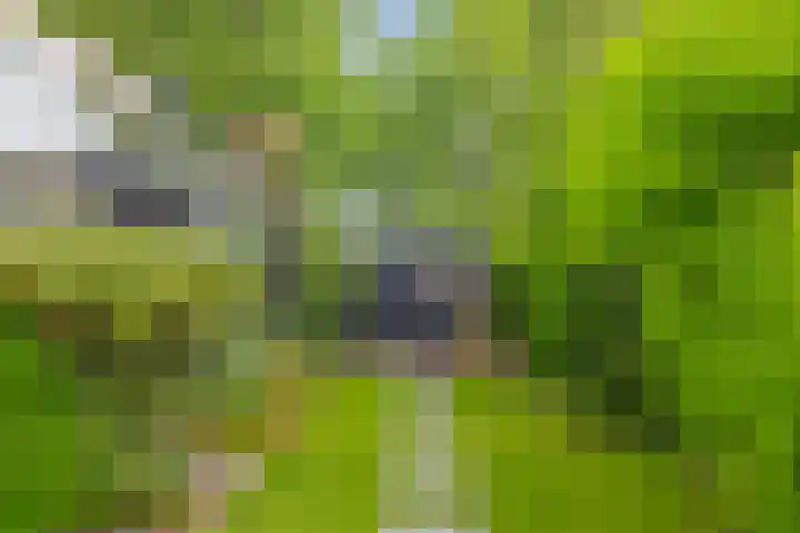 De Keizerskroon 306 Julianadorp thumbnail 4