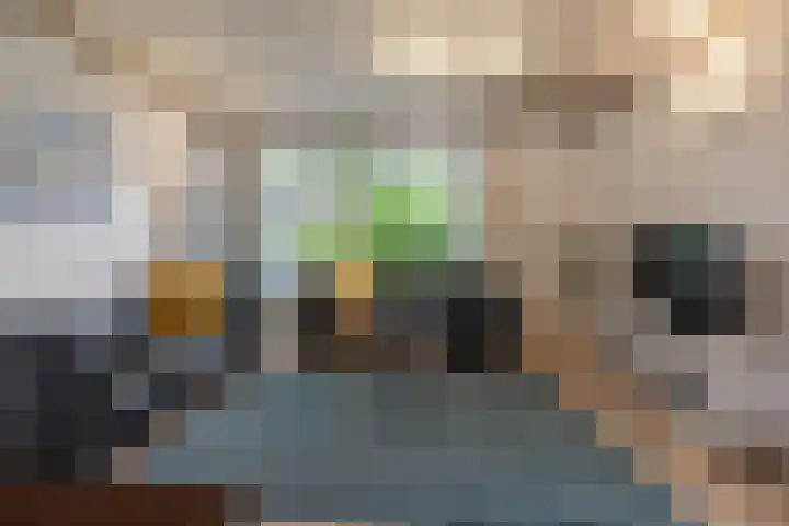 De Keizerskroon 306 Julianadorp thumbnail 6