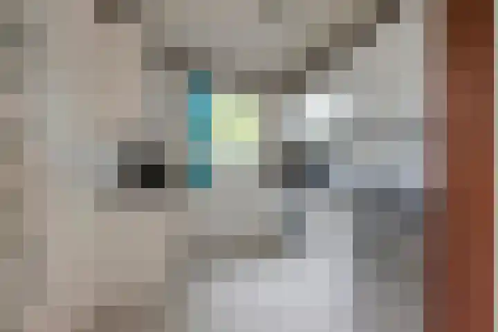 De Keizerskroon 306 Julianadorp thumbnail 8