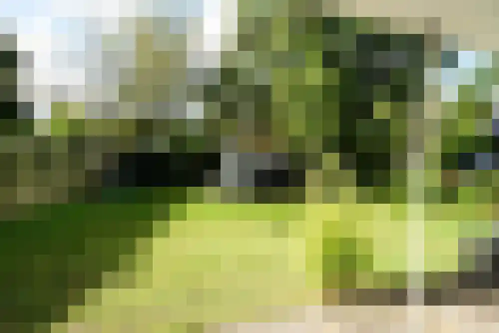 De Keizerskroon 328 Julianadorp thumbnail 23