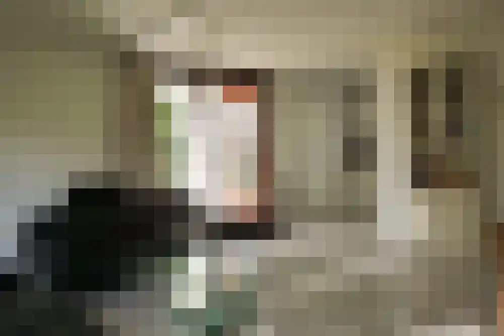 De Keizerskroon 328 Julianadorp thumbnail 5