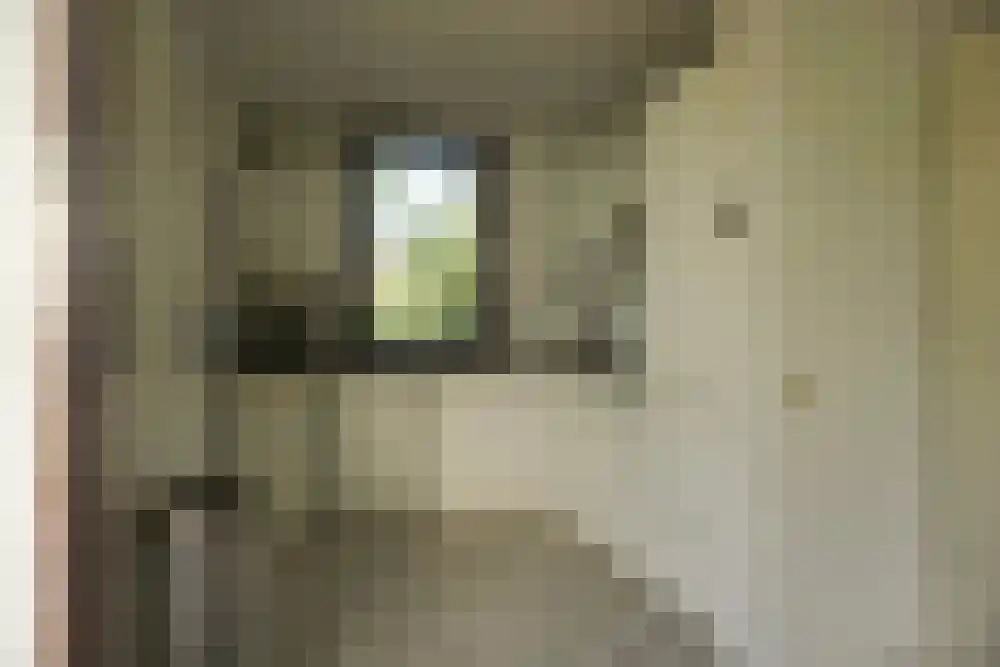 De Keizerskroon 328 Julianadorp thumbnail 7
