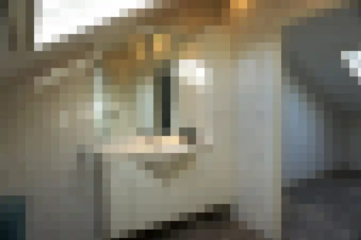 De Keizerskroon 35 Julianadorp thumbnail 27