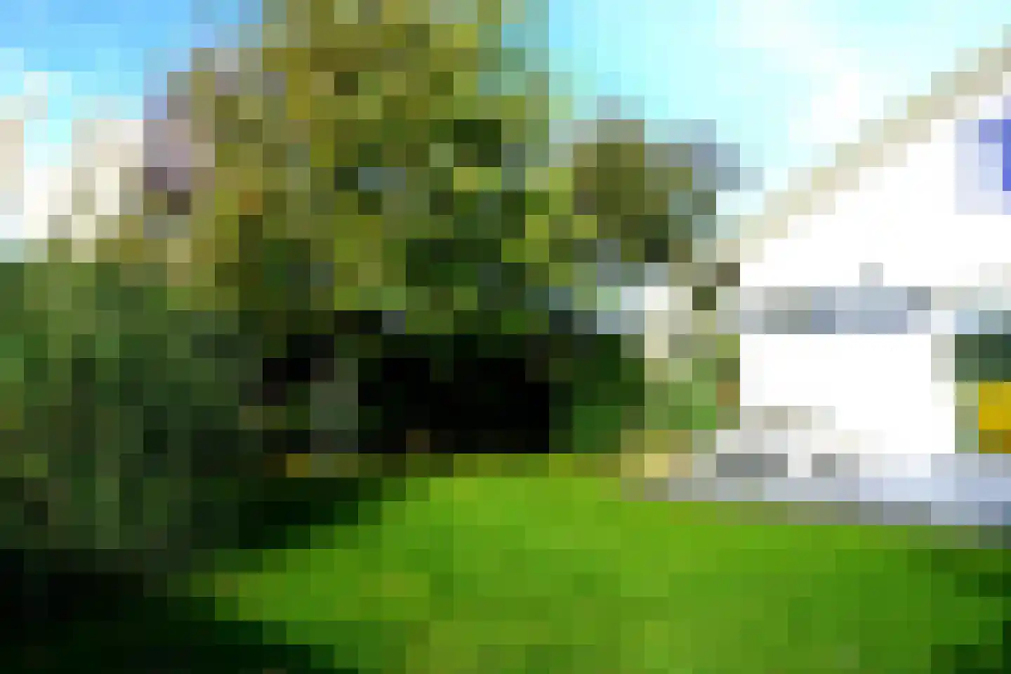 De Keizerskroon 35 Julianadorp thumbnail 31