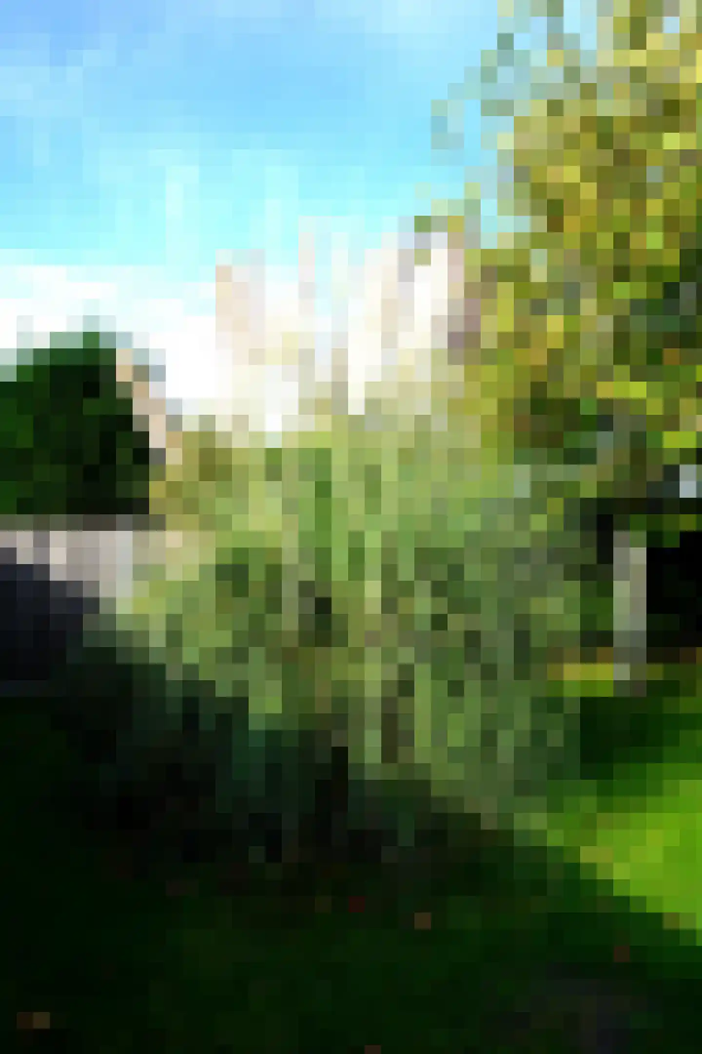 De Keizerskroon 35 Julianadorp thumbnail 33