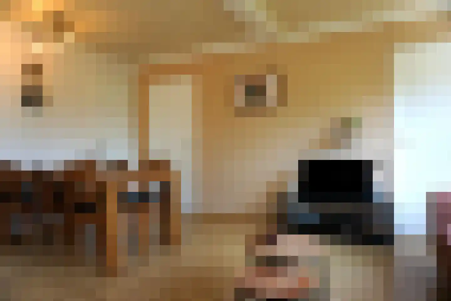De Keizerskroon 58 Julianadorp thumbnail 5