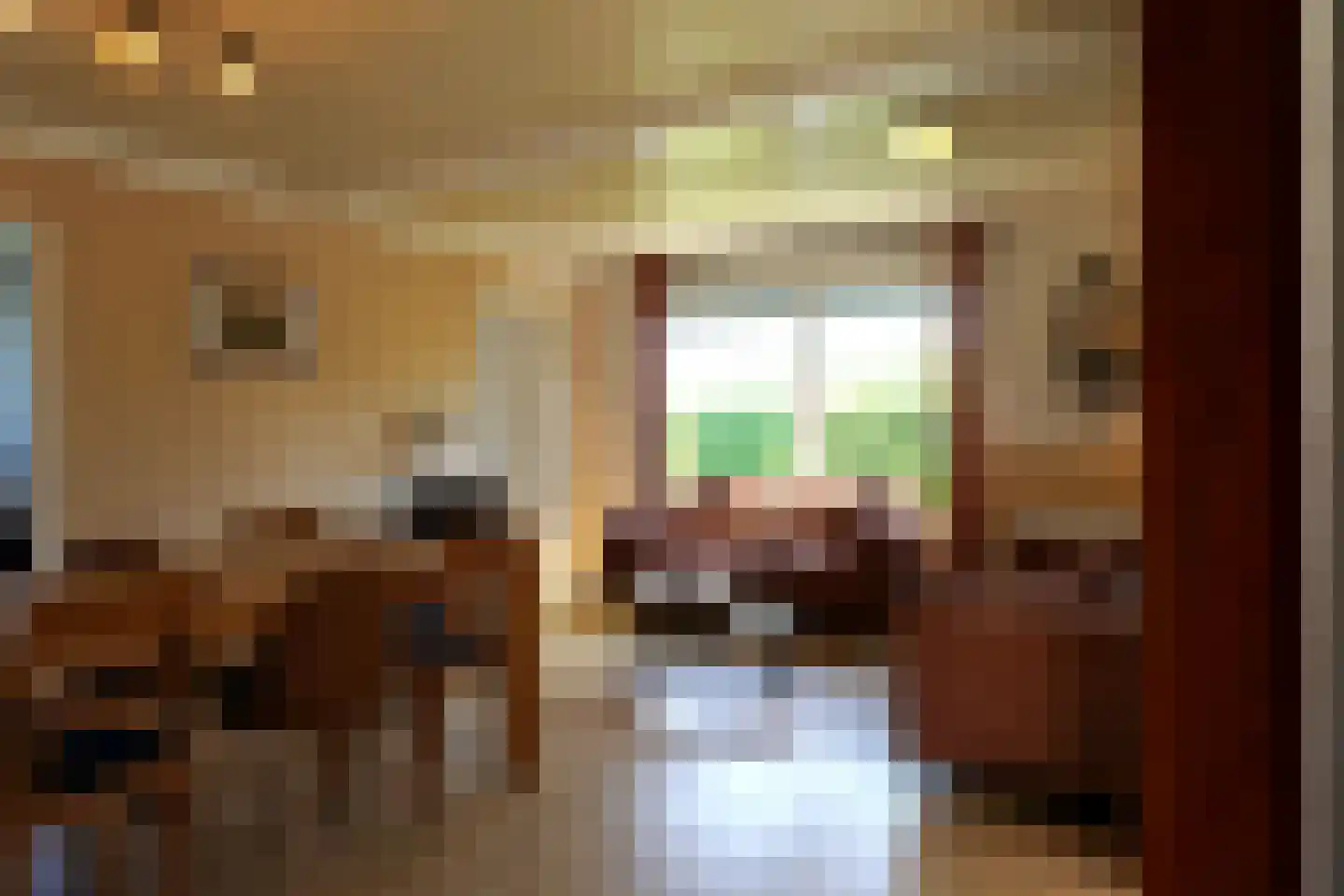 De Keizerskroon 58 Julianadorp thumbnail 6