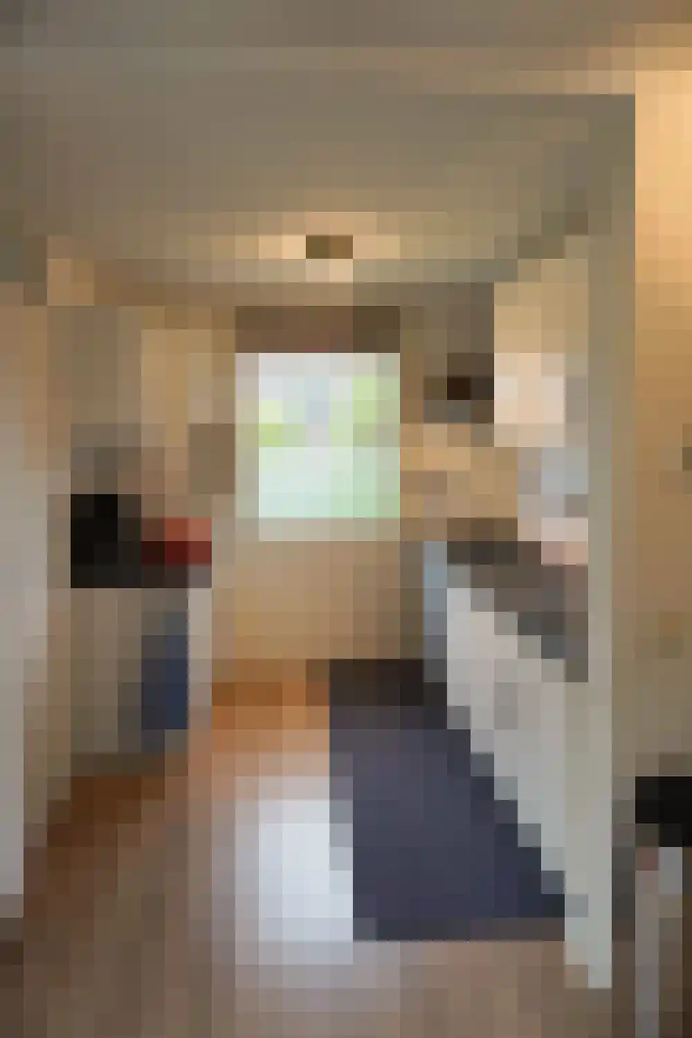 De Keizerskroon 72 Julianadorp thumbnail 12
