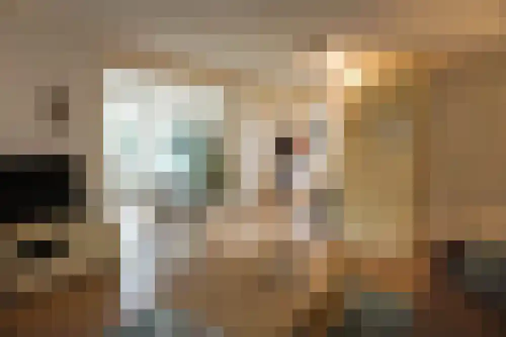 De Keizerskroon 72 Julianadorp thumbnail 4