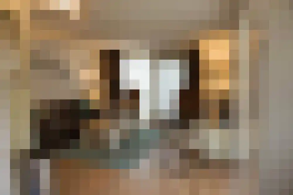 De Keizerskroon 72 Julianadorp thumbnail 7