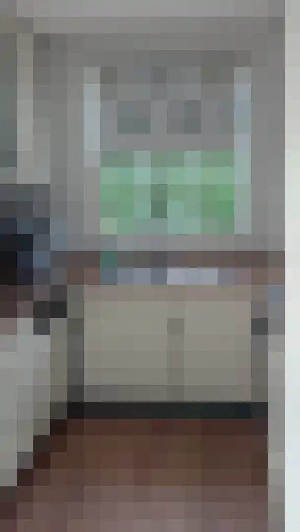De Keizerskroon 95 Julianadorp thumbnail 4