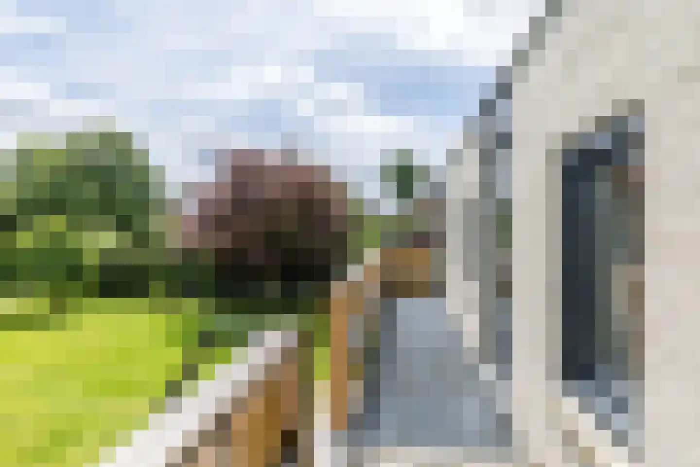 De Keldersdaal 14 Bingelrade thumbnail 52