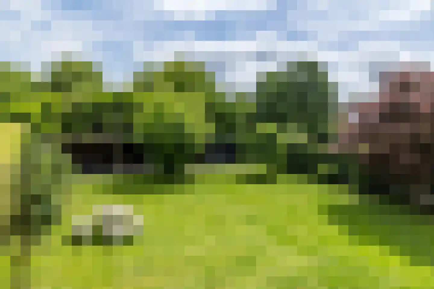 De Keldersdaal 14 Bingelrade thumbnail 53