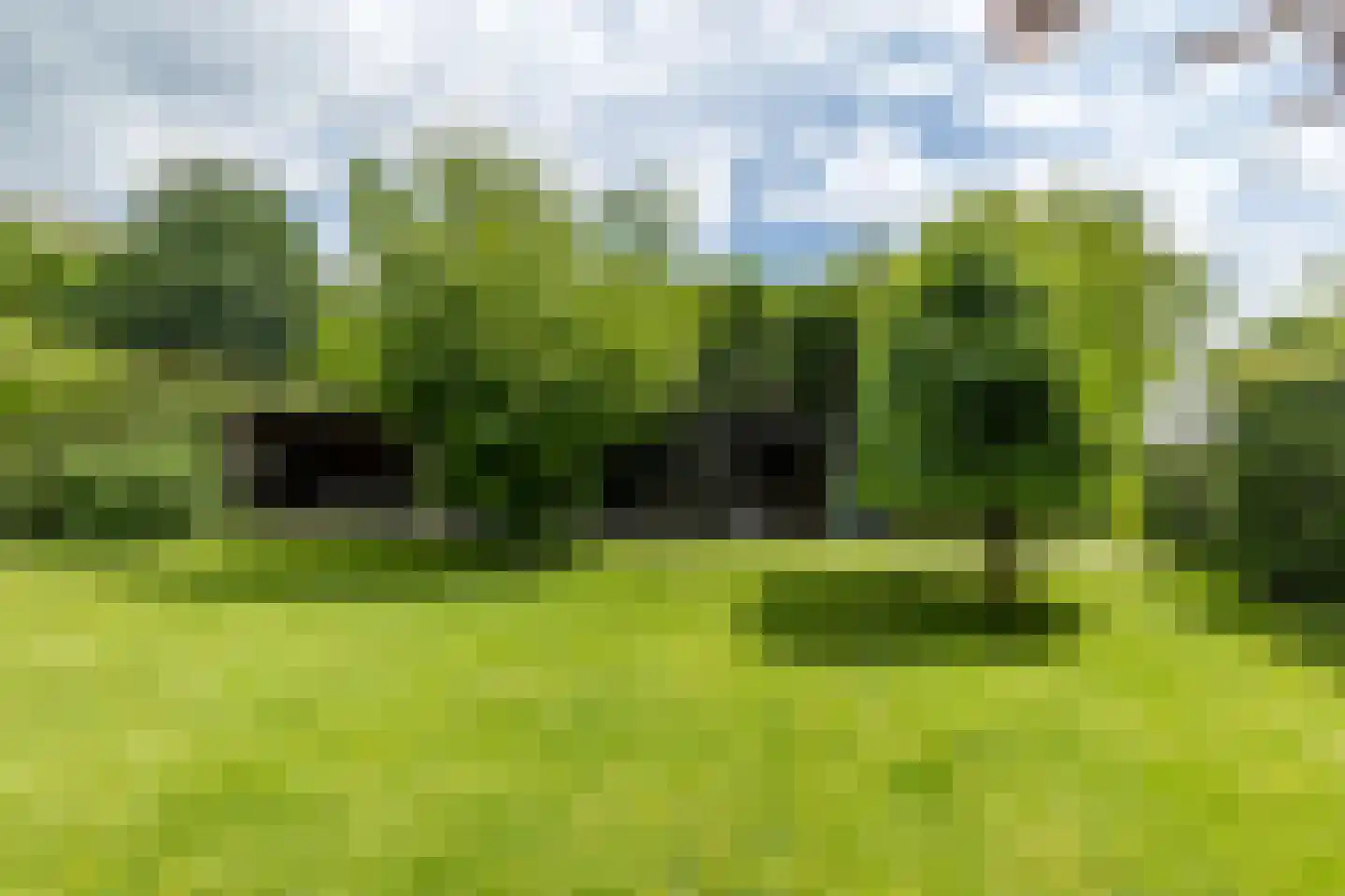 De Keldersdaal 14 Bingelrade thumbnail 56