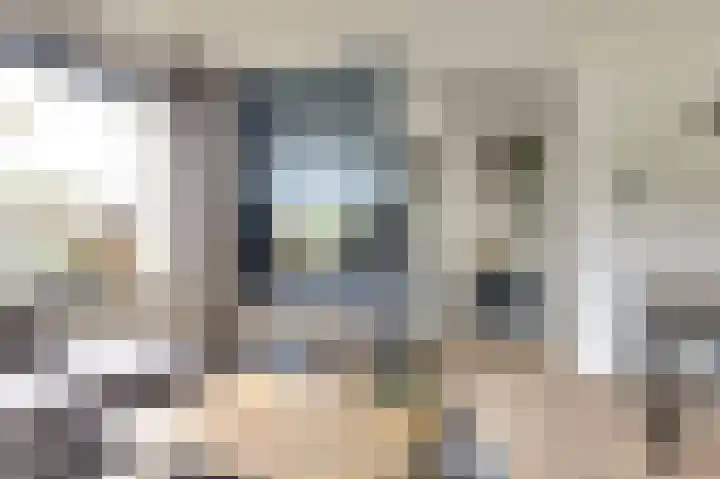 De Kellsche Vicarij 14 Angerlo thumbnail 10