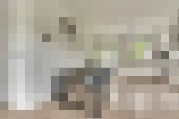 De Kellsche Vicarij 14 Angerlo thumbnail 11