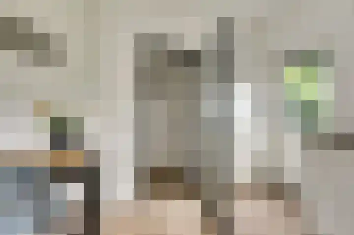 De Kellsche Vicarij 14 Angerlo thumbnail 12