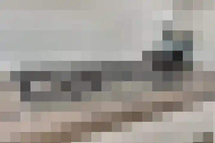 De Kellsche Vicarij 14 Angerlo thumbnail 14