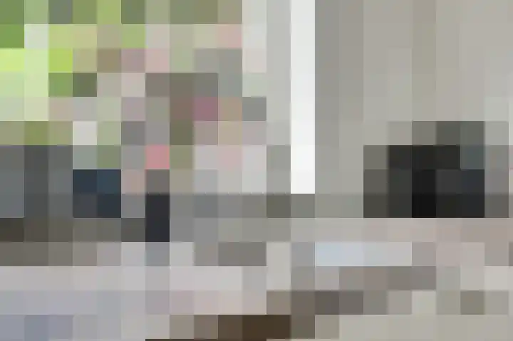 De Kellsche Vicarij 14 Angerlo thumbnail 15