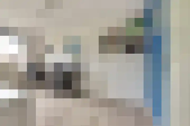 De Kellsche Vicarij 14 Angerlo thumbnail 21