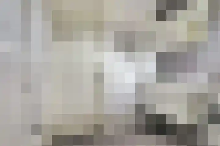 De Kellsche Vicarij 14 Angerlo thumbnail 22