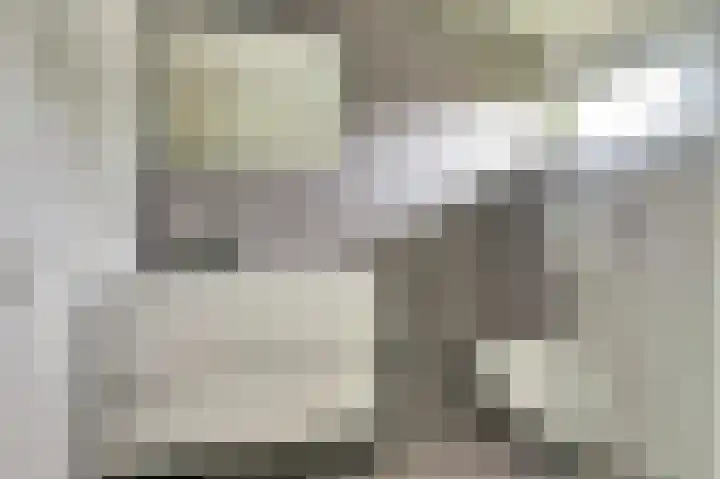 De Kellsche Vicarij 14 Angerlo thumbnail 23