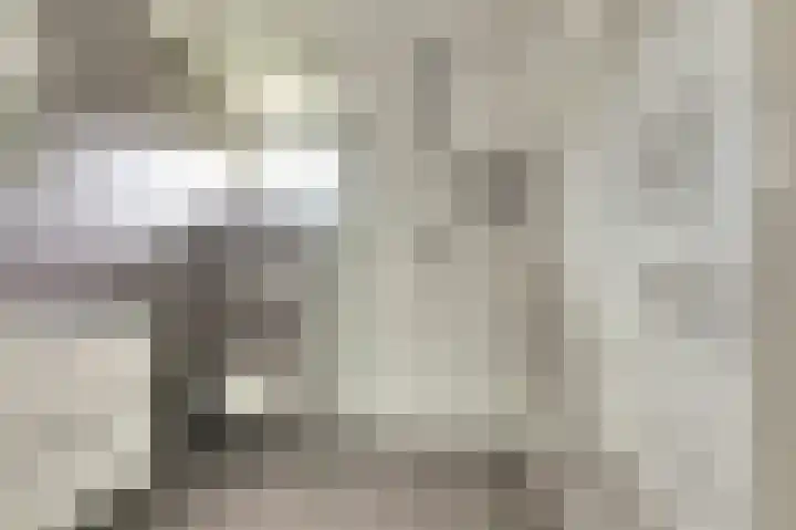 De Kellsche Vicarij 14 Angerlo thumbnail 24