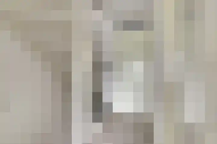 De Kellsche Vicarij 14 Angerlo thumbnail 27