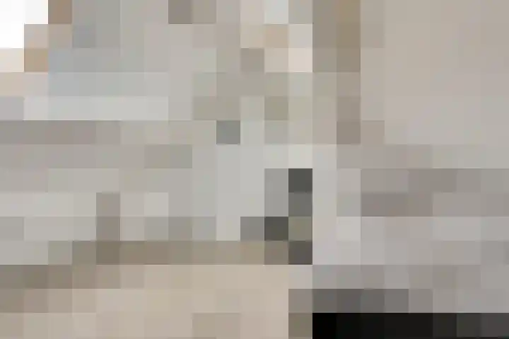 De Kellsche Vicarij 14 Angerlo thumbnail 28
