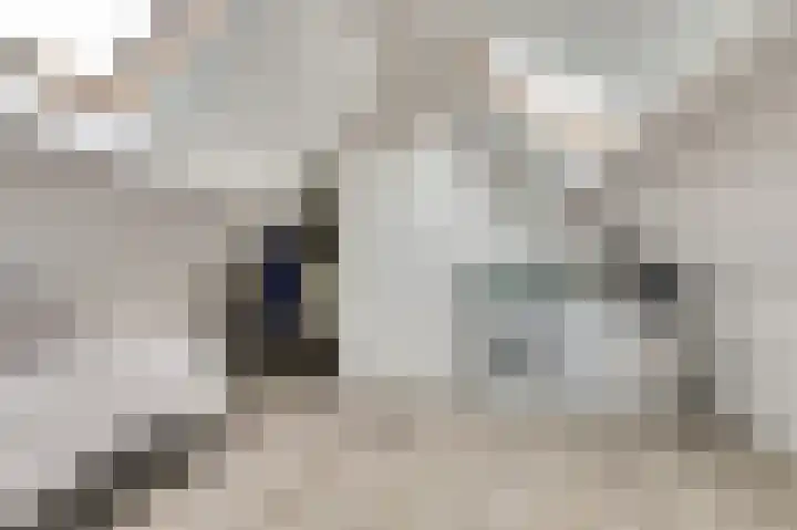 De Kellsche Vicarij 14 Angerlo thumbnail 29
