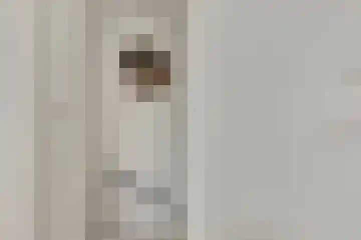 De Kellsche Vicarij 14 Angerlo thumbnail 31