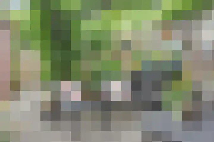 De Kellsche Vicarij 14 Angerlo thumbnail 33