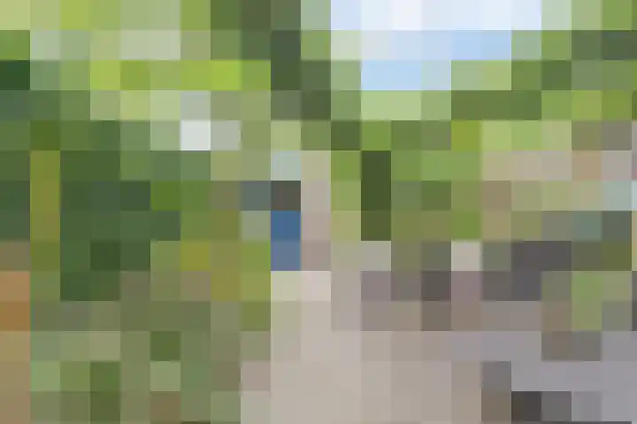 De Kellsche Vicarij 14 Angerlo thumbnail 34